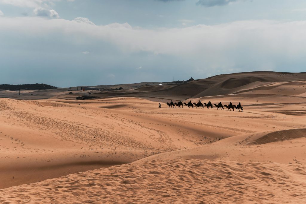 A line of camels traverses the vast sand dunes of Inner Mongolia, under a bright sky.